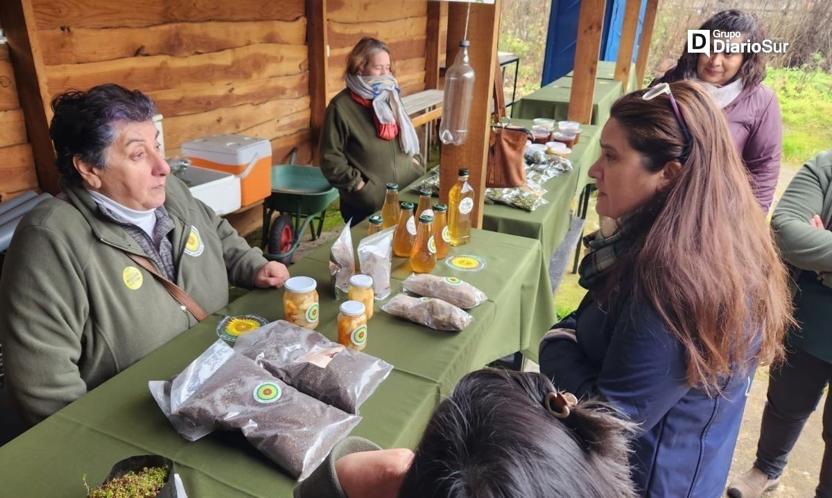 Fosis ayudó a campesinas de Aysén a potenciar su producción y comercialización